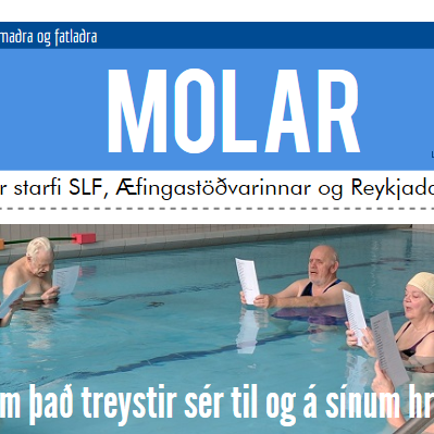 Fjallað um þjálfun Parkinsonsjúkra í nýju tölublaði Mola
