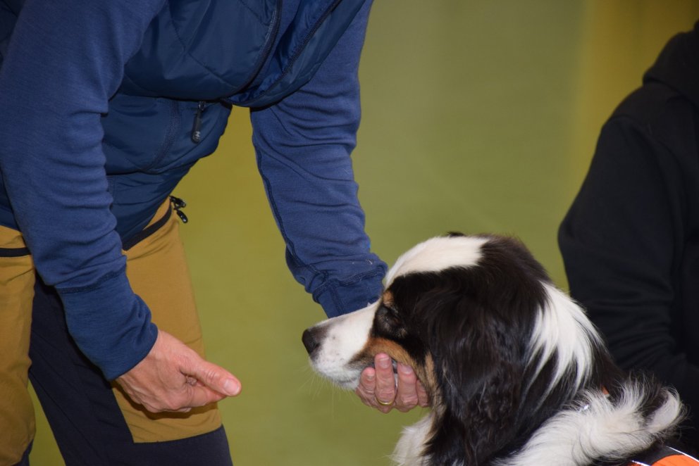 Fullsetið á námskeiðinu Íhlutun með aðstoð hunds