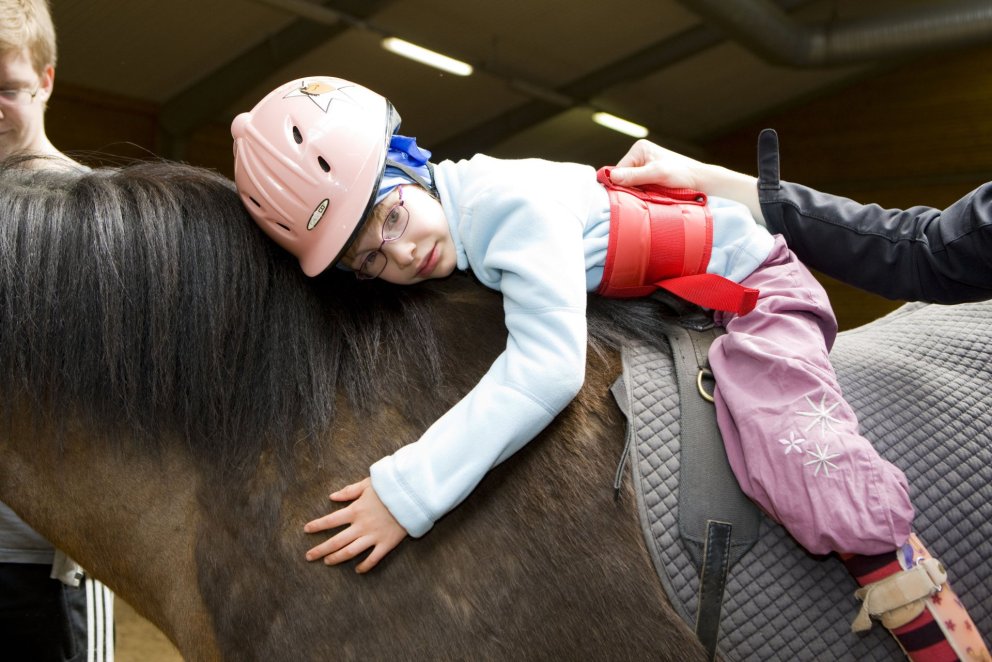 Ráðstefna Æfingastöðvarinnar: Að styðjast við dýr í starfi með fólki [UPPBÓKAÐ]