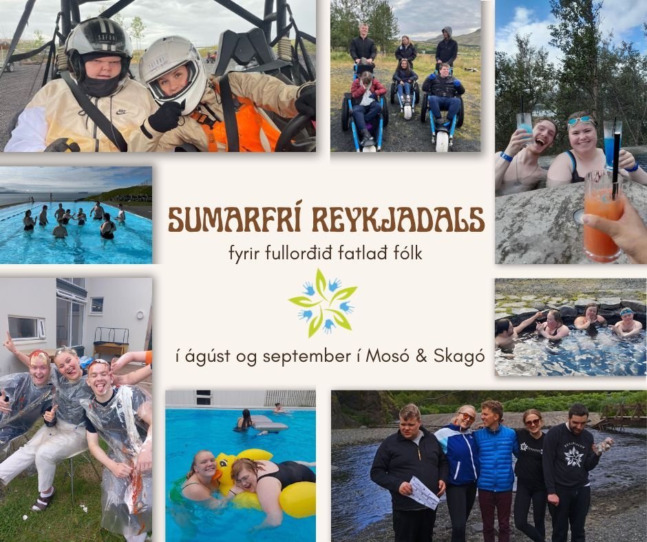 Fjórða sumarið í röð verður sumarverkefni fyrir fullorðið fólk