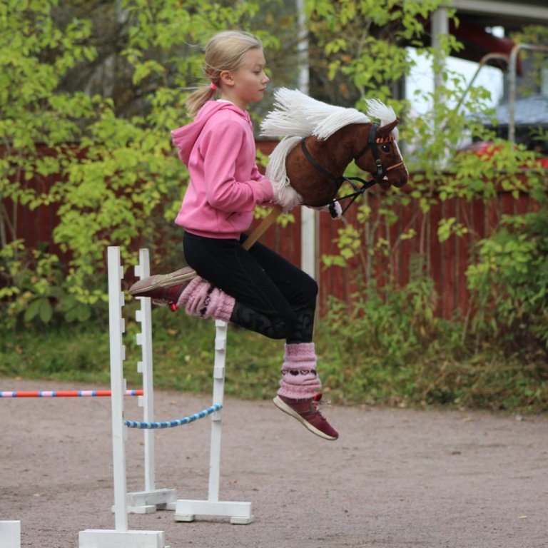 Fræðsla fyrir fjölskyldur: Hobbíhestar / Hobby Horsing