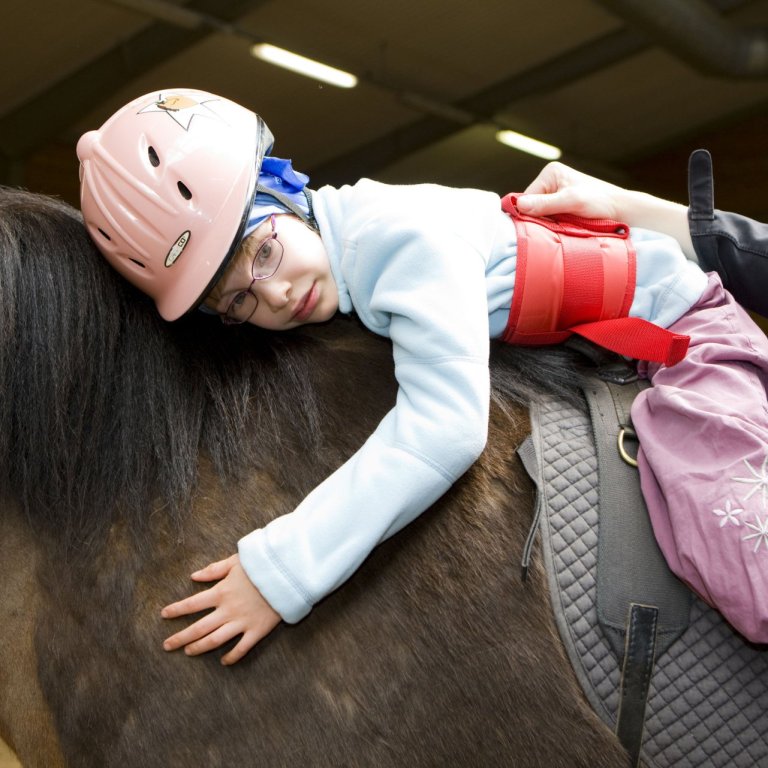 Ráðstefna Æfingastöðvarinnar: Að styðjast við dýr í starfi með fólki [UPPBÓKAÐ]