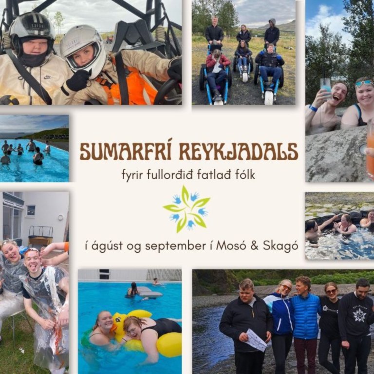 Fjórða sumarið í röð verður sumarverkefni fyrir fullorðið fólk