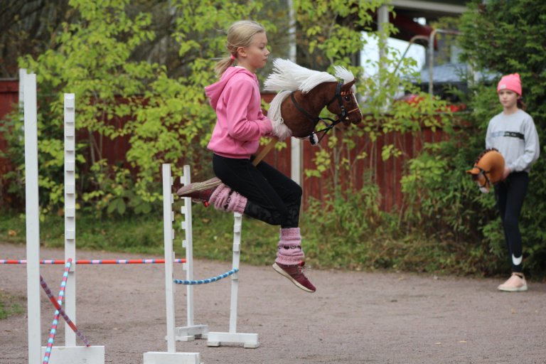 Fræðsla fyrir fjölskyldur: Hobbíhestar / Hobby Horsing