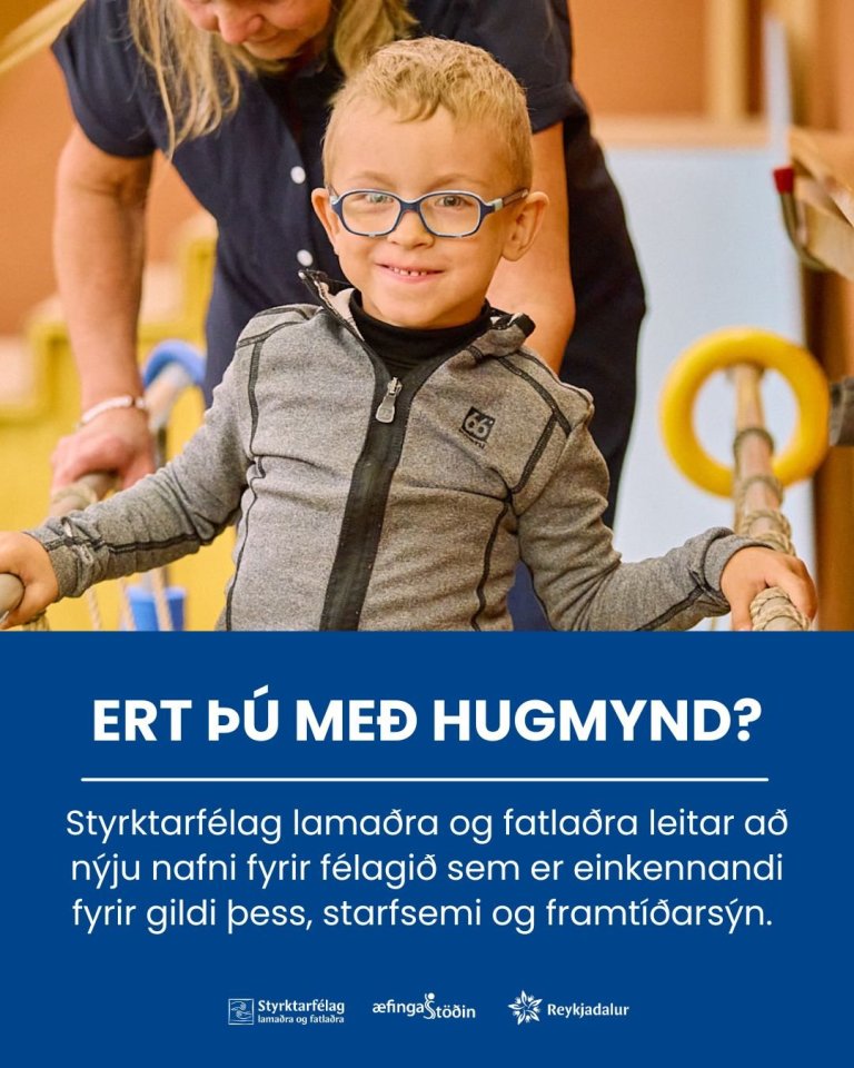 Hugmyndabanki um nýtt nafn SLF